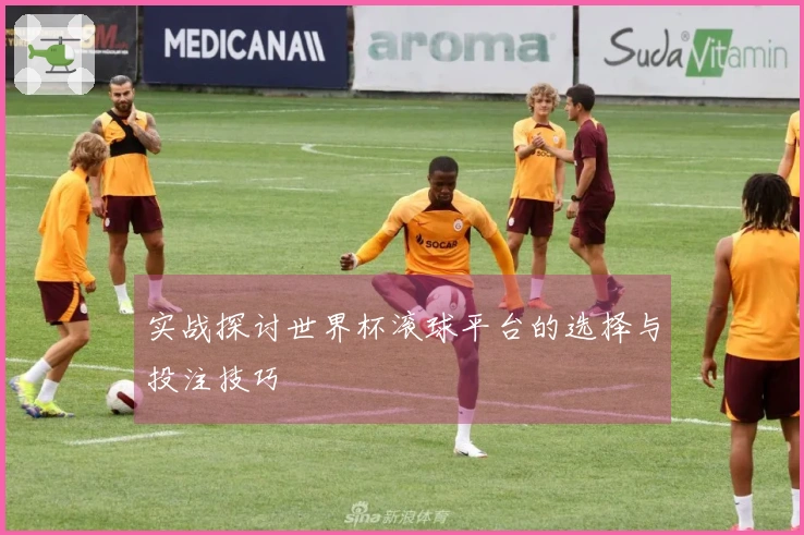 实战探讨世界杯滚球平台的选择与投注技巧