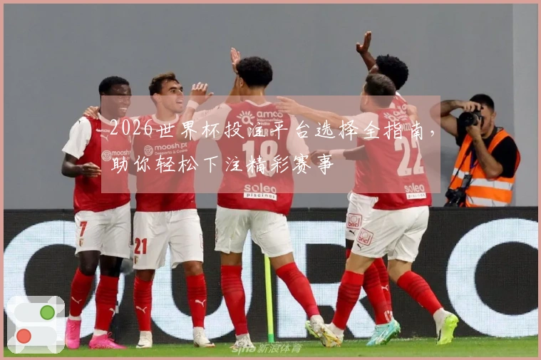 2026世界杯投注平台选择全指南，助你轻松下注精彩赛事