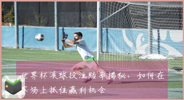 世界杯滚球投注赔率揭秘，如何在赛场上抓住赢利机会
