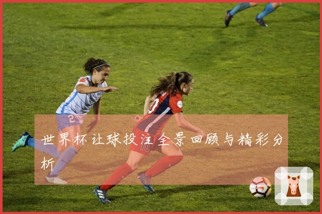 世界杯让球投注全景回顾与精彩分析