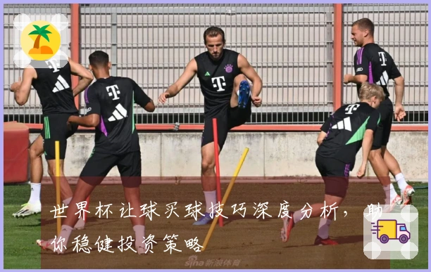 世界杯让球买球技巧深度分析，助你稳健投资策略