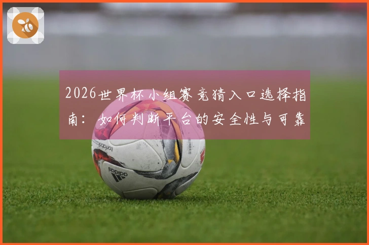 2026世界杯小组赛竞猜入口选择指南：如何判断平台的安全性与可靠性
