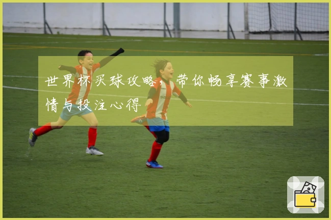 世界杯买球攻略，带你畅享赛事激情与投注心得