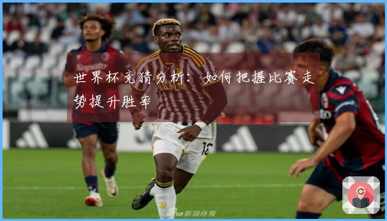 世界杯竞猜分析：如何把握比赛走势提升胜率