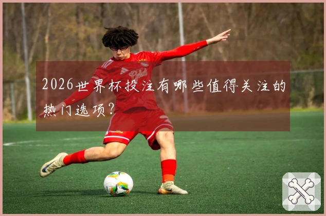 2026世界杯投注有哪些值得关注的热门选项？
