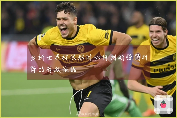 分析世界杯买球时如何判断强弱对阵的有效依据