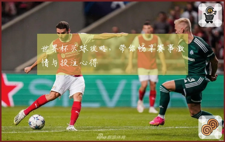 世界杯买球攻略，带你畅享赛事激情与投注心得