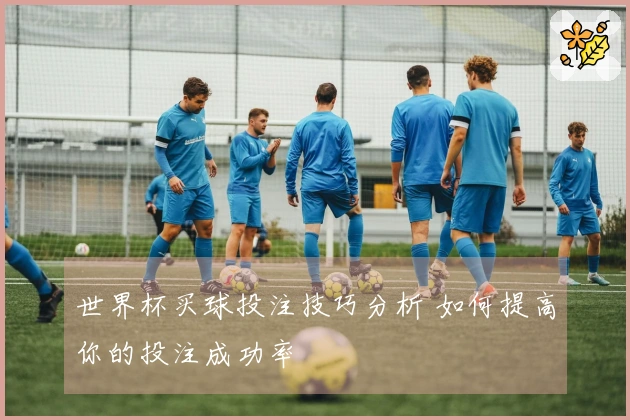 世界杯买球投注技巧分析 如何提高你的投注成功率