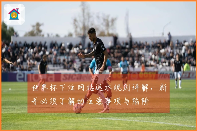 世界杯下注网站返水规则详解，新手必须了解的注意事项与陷阱