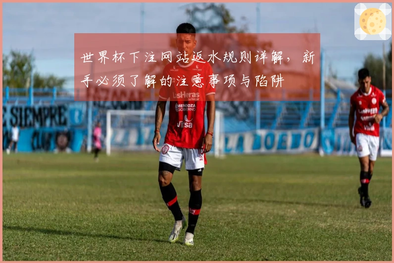 世界杯下注网站返水规则详解，新手必须了解的注意事项与陷阱
