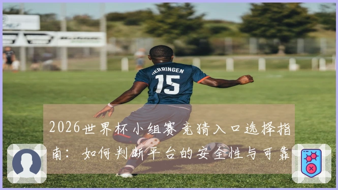 2026世界杯小组赛竞猜入口选择指南：如何判断平台的安全性与可靠性