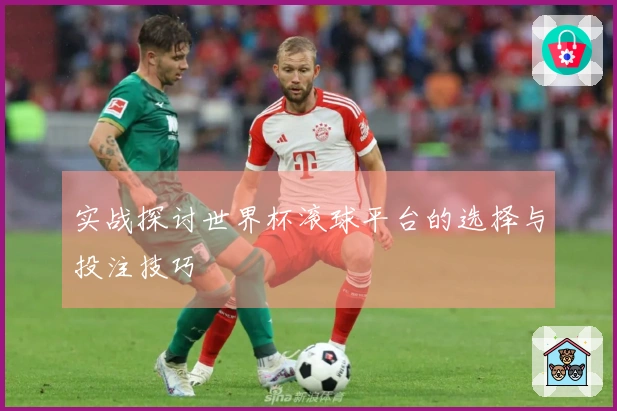 实战探讨世界杯滚球平台的选择与投注技巧